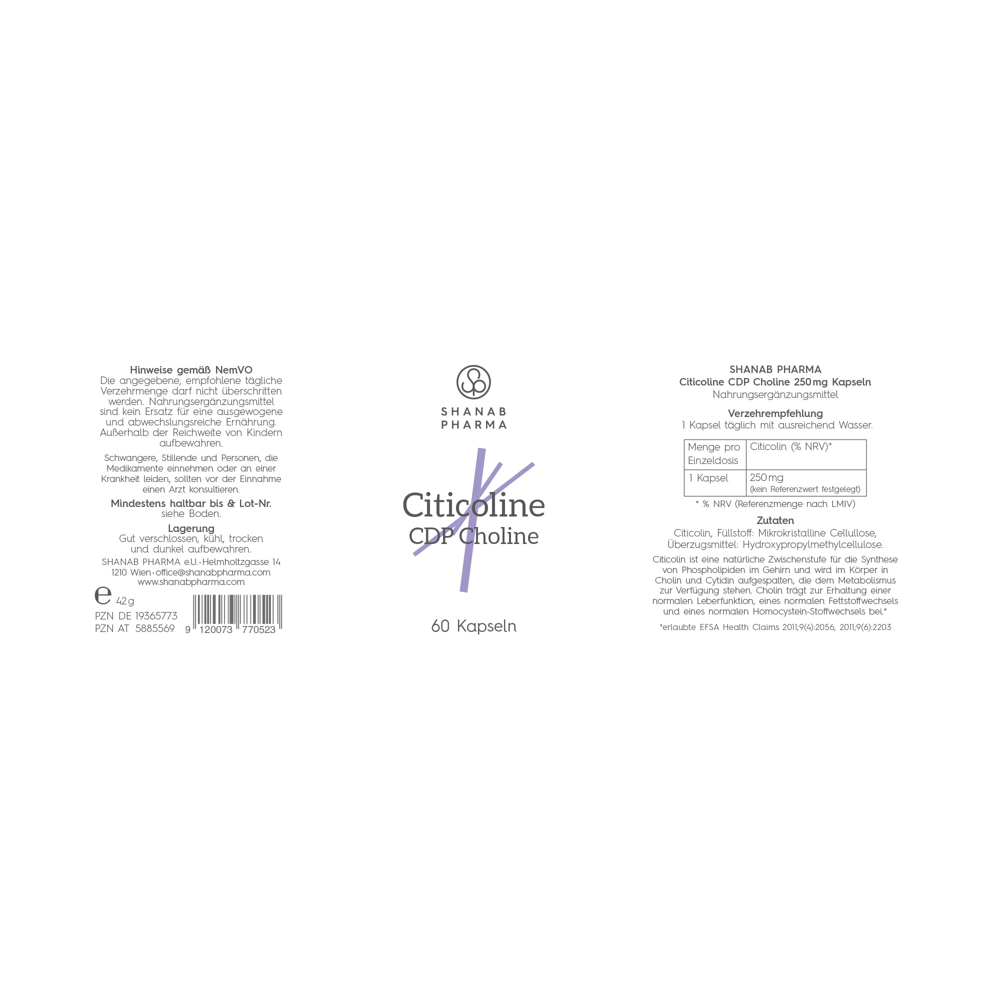CITICOLINE 250mg CDP-Cholin – Hochdosiert & Vegan – 60 Kapseln – Ohne Zusatzstoffe – Hergestellt in der EU – Shanab Pharma