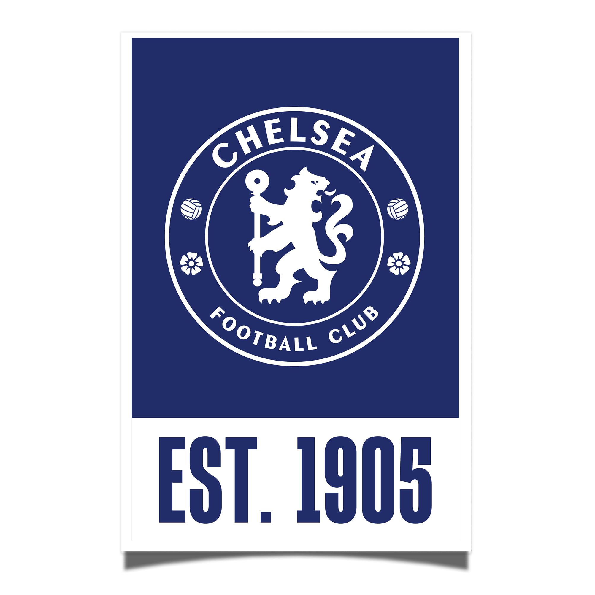 Amazon.com: Desert Cactus Chelsea FC Poster Football Soccer 11 x