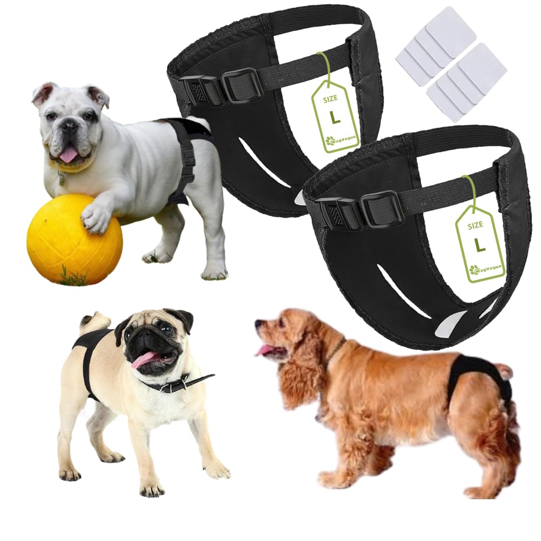 Bragas Perras Menstruales. Braguitas Perro Celo Hembra. Braga Perro Celo Hembra. Bragas para Perros Celo Hembra- 2 uds Incluye 8 Toallas SANITARIAS, Talla L, Negro