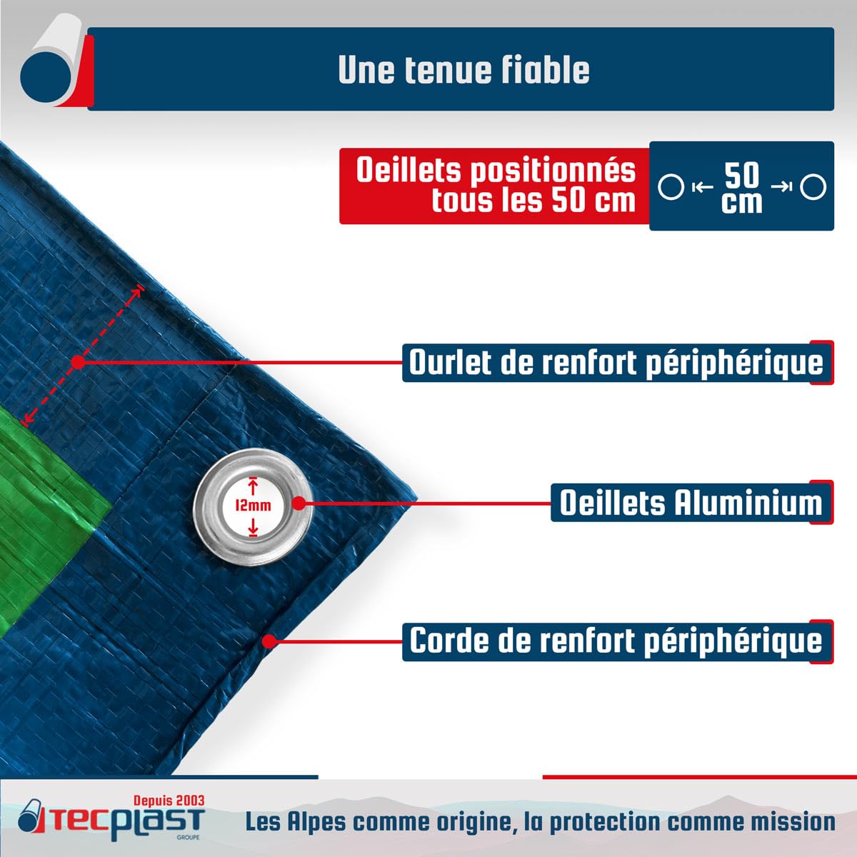 TECPLAST Bâche Jardin 8x12 m SR150JD Bleue et Verte - Haute Qualité - Bâche d'extérieur imperméable avec Oeillets
