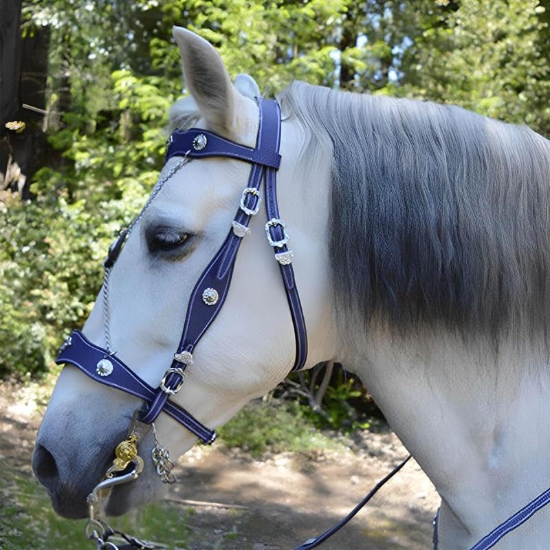 Licol pour chevaux en cuir PU et bouclerie métal premium