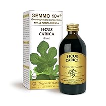 Dr. Giorgini FICO (Ficus Carica) Gemmoderivato Concentrato Liquido Analcoolico – 200 ml