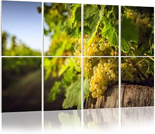 8 Pack Art Acoustic Panels Bunch white grapes vines Decorative Sound Absorbing Wall Panels 48"x32" Noise Canceling Soundproof Padding Room Decor for Office