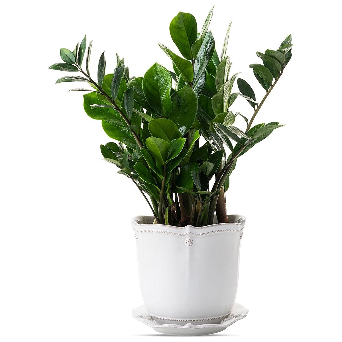 Amazon.com : Juliska Berry & Thread Whitewash 7