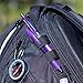 Pentel 798172 EnerGel-X RollerGel Retractable Gel Pens Bold Point Black Ink