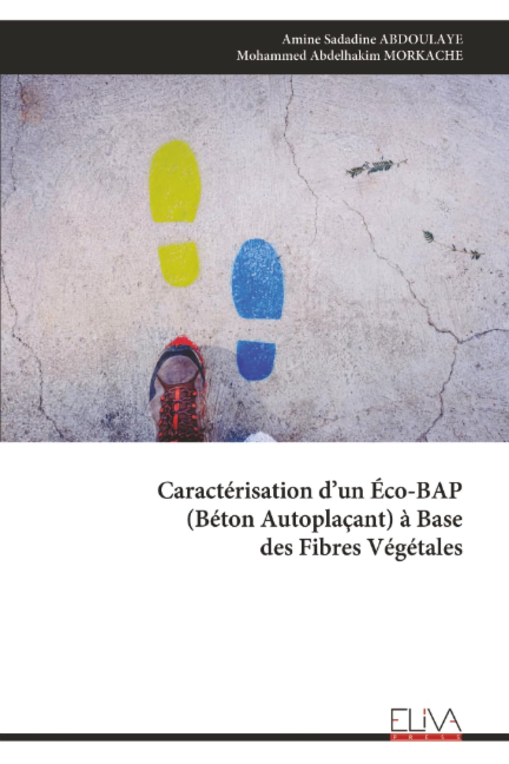 Caractérisation d’un Éco-BAP (Béton Autoplaçant) à Base des Fibres Végétales