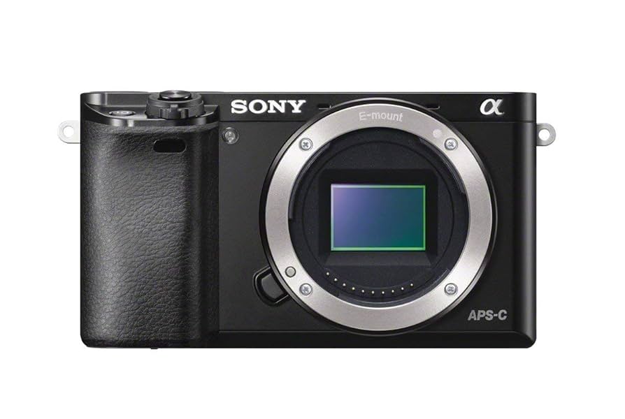 SONY - バラ売可）a6000＋SEL24F18Z Amazon.com : Sony Alpha a6000 Mirrorless Digital Camera 24.3