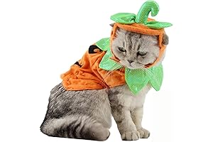 Bolbove Pet Costume Set