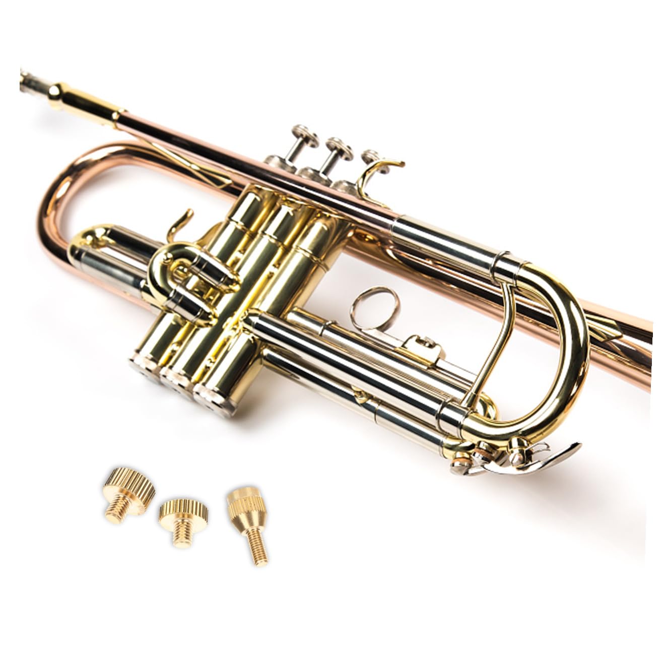 TOYANDONA 4 Set sassofono strumenti musicali micro viti vite del ricevitore del manico del sax sostituzione della vite del sax di ricambio per il collo del miniatura strumento abcd