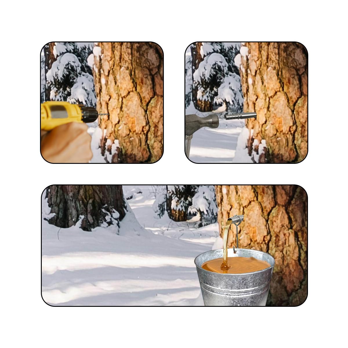 4PCS Stainless Steel Maple Syrup Tapping Taps Kit, Stainless Steel Maple Tubing Spouts with Holder Hooks for Collecting Sap and Making Maple Syrup