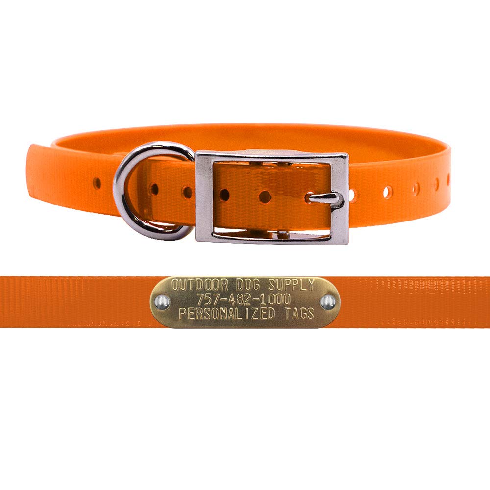 3/4" Waterproof D-Ring Dog Collar Adjustable Fit for Small & Medium Breeds | Custom 3/4" Brass Nameplate – Durable, Odor-Resistant, USA-Made (18",