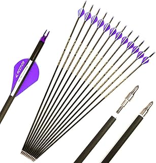 28 Inch Arrow Spine 400 Arrow Target Practice Arrow Hunting Arrow Carbon Arrows Compound Bow Recurve Bow Adult Youth Archery Indoor Outdoor Shooting Bullet Field Tip 12pc ID 6.2mm