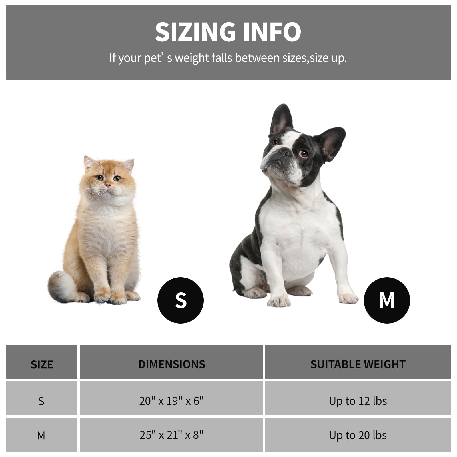 Looyn 20In Dog Bed for Small Dogs & Cats - Washable Rectangle Cat Kitten Bed for Indoor Pets, Cozy Cute Puppy Bed with Non-Slip Bottom(Green, Small)