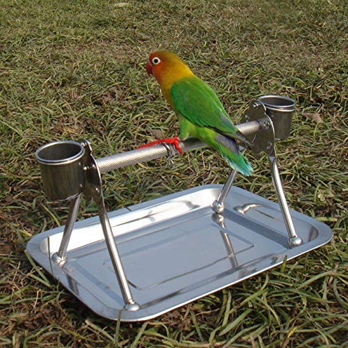 Image of Litewood Bird Perch Stand Stainless Steel Table Rack with Feeder Cups Tray for Budgie Parakeet Cockatiel Conure Finch