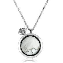 Stainless Steel Pet Hair Memorial Necklace With Openable Heart Pendant For Keeping Hair And Teeth Storagedog1