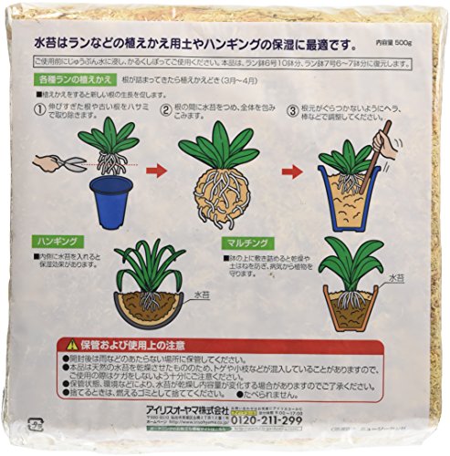 クワガタ カブトの新成虫を管理する水苔について そつがないのそつってなに