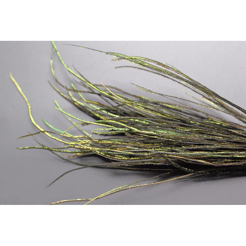 Tigofly Ensemble de plumes de paon pour nymphes mouches, mouches humides classiques