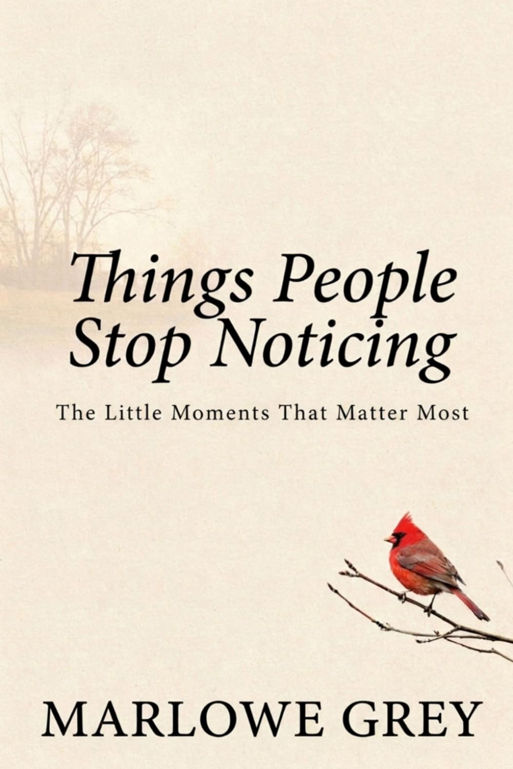 Things People Stop Noticing: The Little Moments That Matter Most