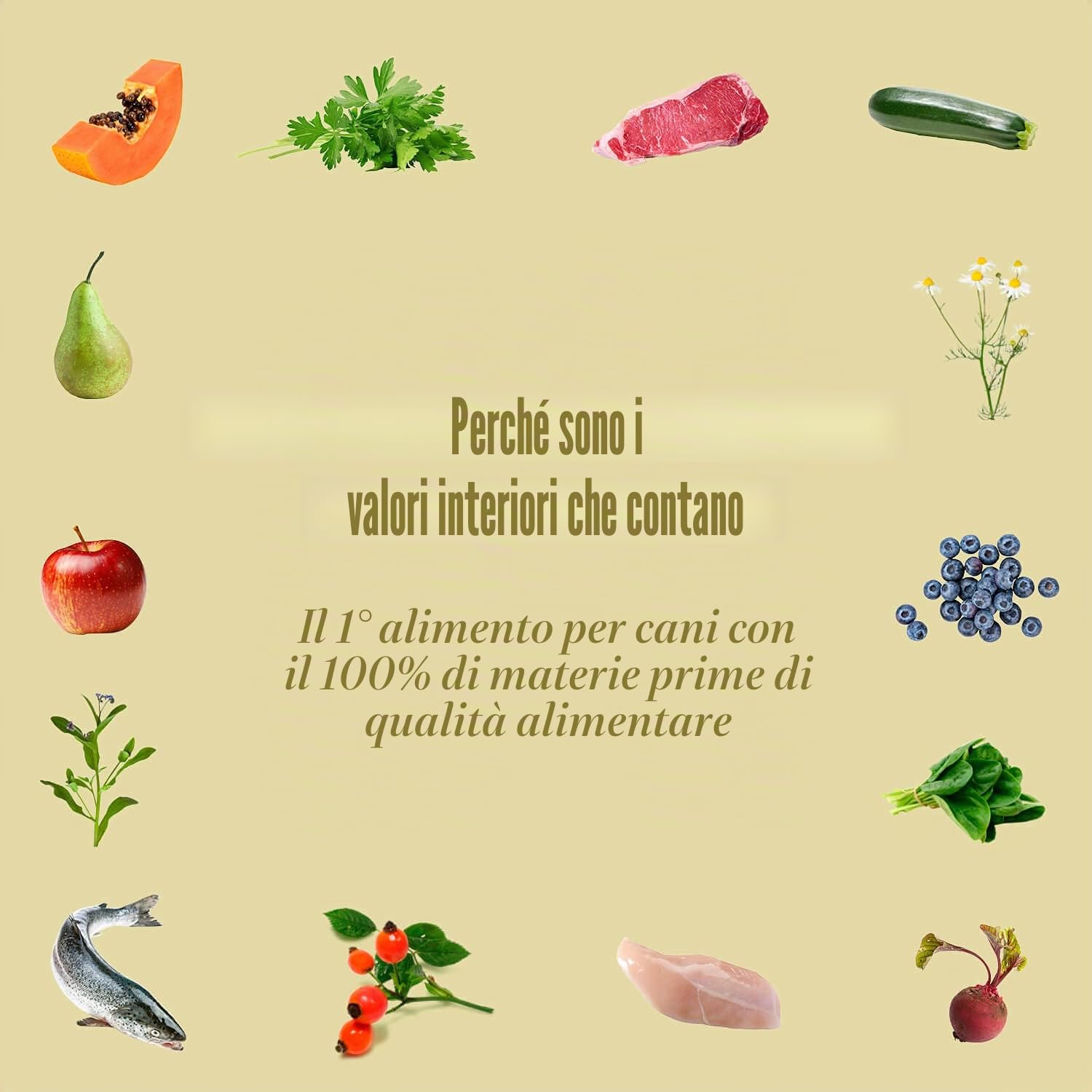 Terra Canis Pacchetto di conoscenza, Canireo cibo secco per cani, 3x1kg | Materie prime di qualità alimentare al 100%, ideale per provare, selezione variata di menu