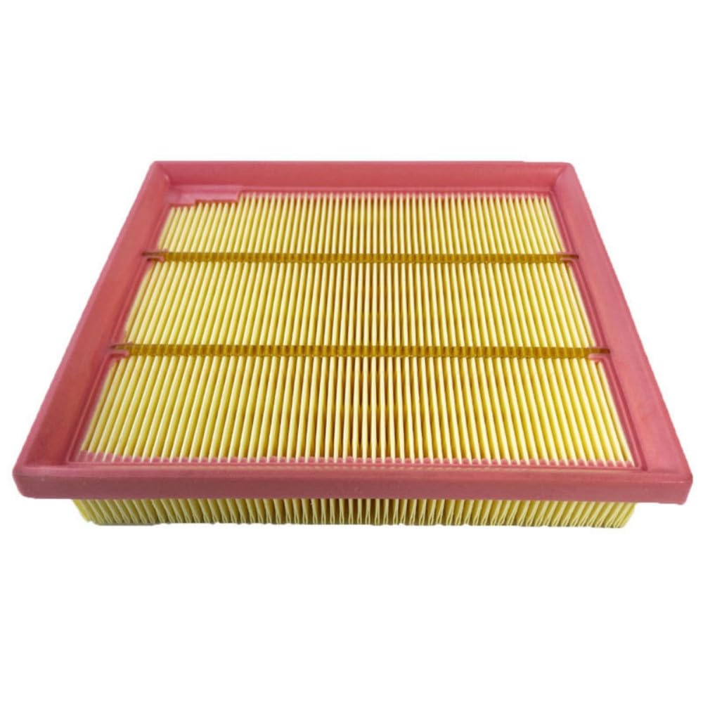 本A-18 9 ④ Amazon.com: Struggling FA1948 CA12813 Engine Air Filter for Ford