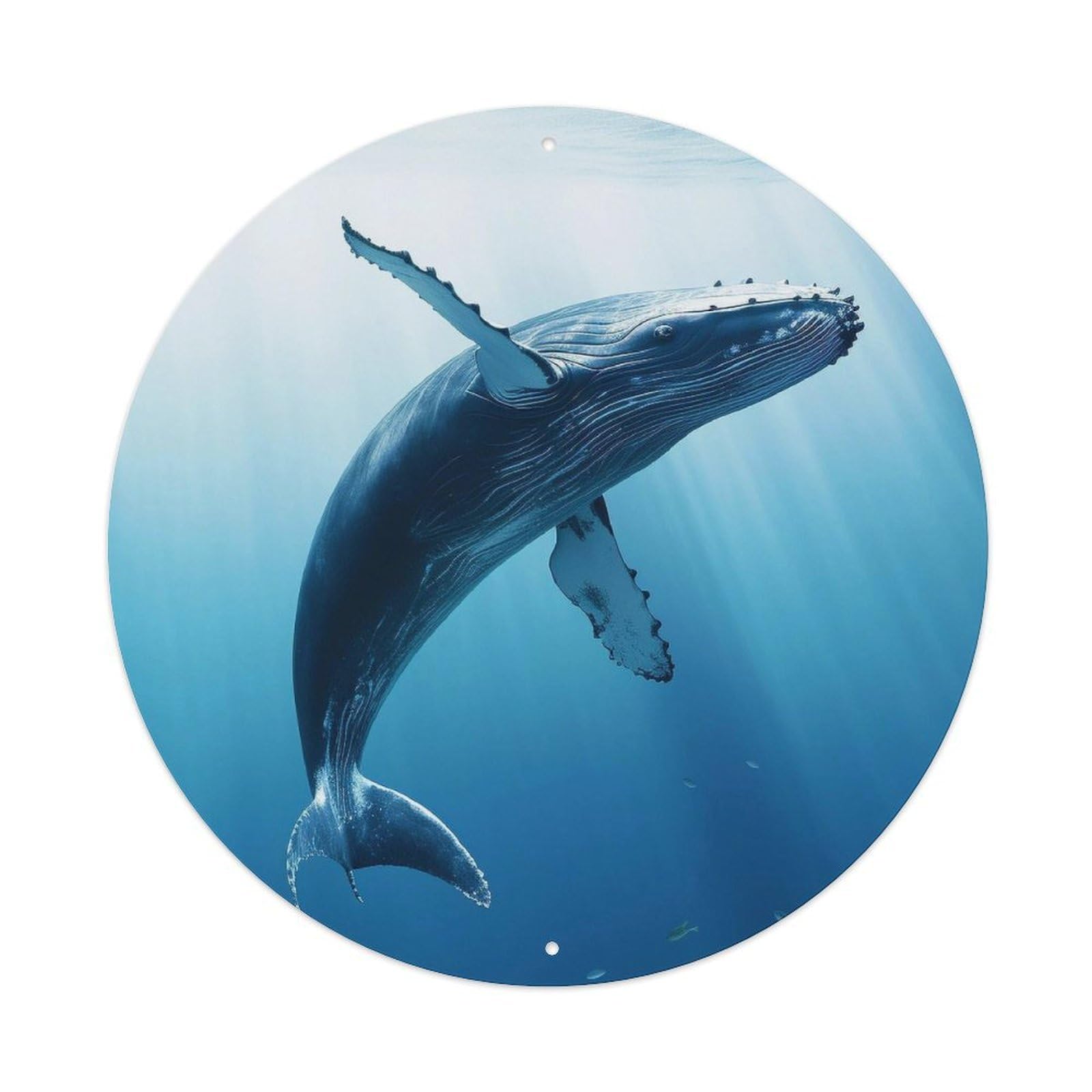 Marine Animal Whale Vintage Metal Tin Sign Plaque Wall Decor for Cafe, Club, Garden Round Metal Poster 8x8Inch