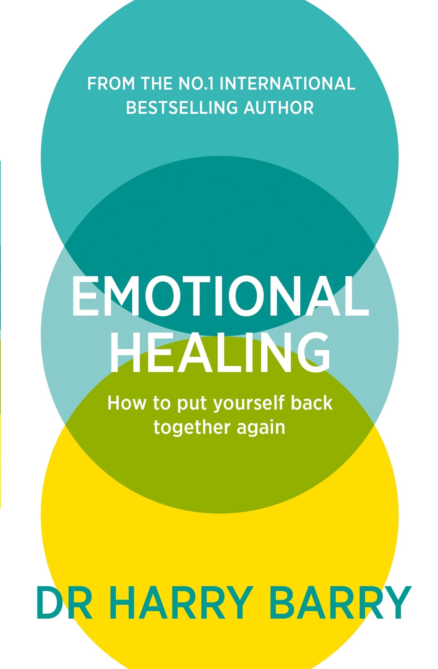 Emotional Healing Put Yourself Back Together Dr Harry Barry Paperback