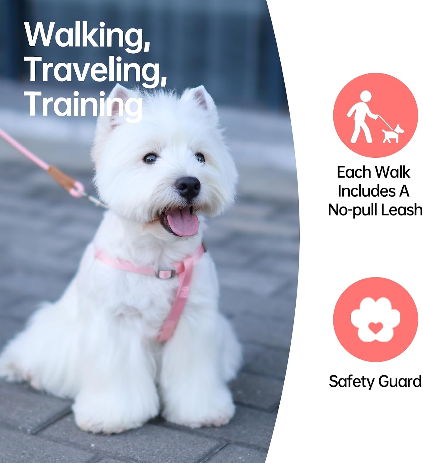 Touchdog Classic Y-Shape Dog Harness and Leash Set, Durable Adjustable No-Pull Step in Dog Harness for Small Medium Dogs, Soft Nylon Walking Harness for Daily Use and Outdoor Training (Pink, XS)