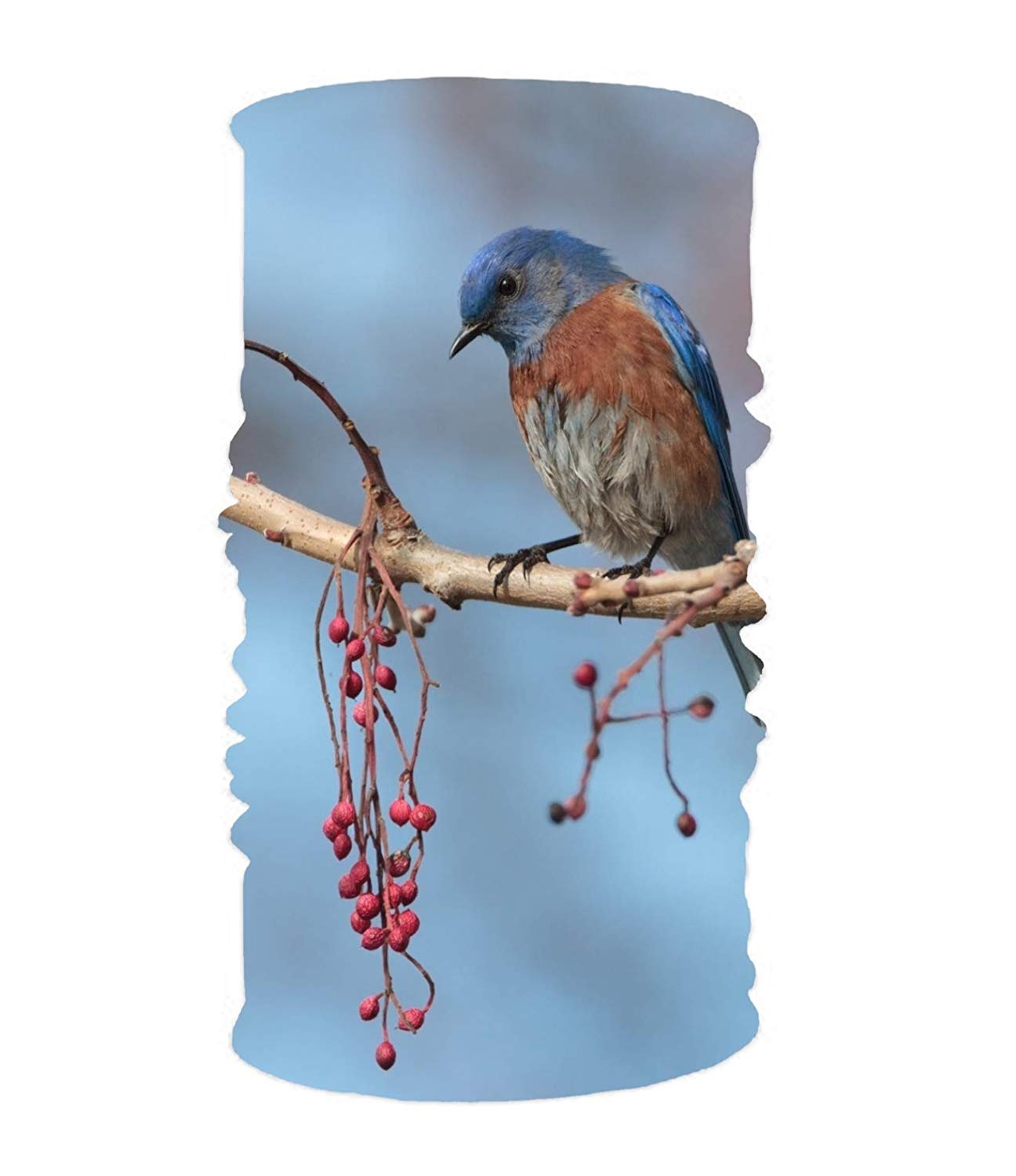 Animal Eastern BlueBirds Headwear Sport Headband Elastic Sweatband