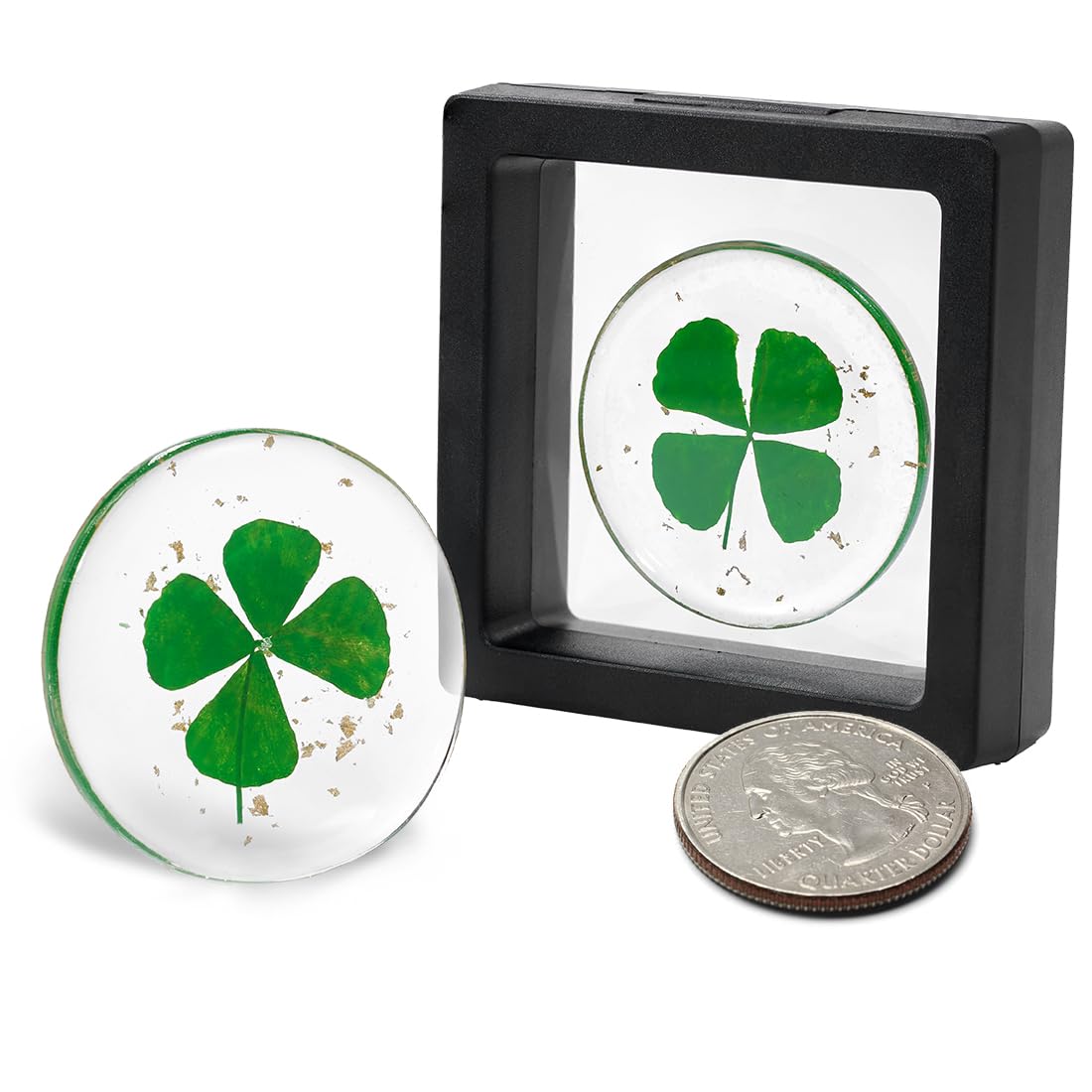 Real Four Leaf Clover Authentic 4 Leaf Clover Good Luck 1.25 Inch Great for Gifts Lucky Clover for Family (Includes Gold Leaf) (Classic) Small Resin Not-image-34