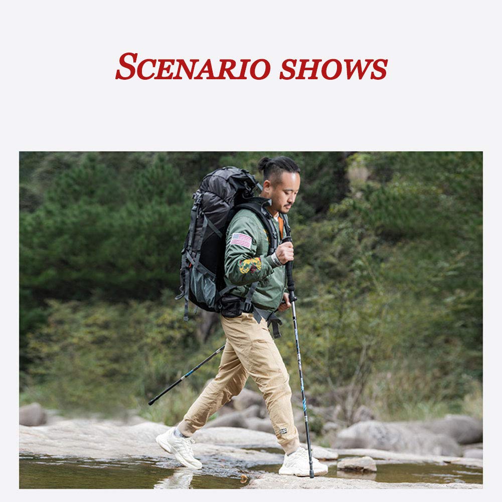 ? Kijki trekkingowe do chodzenia - Lekkie, składane, regulowane teleskopowe aluminiowe kijki trekkingowe Paruj z akcesoriami trekkingowymi dla kobiet Mężczyźni Seniorzy Wędrówka szlakiem