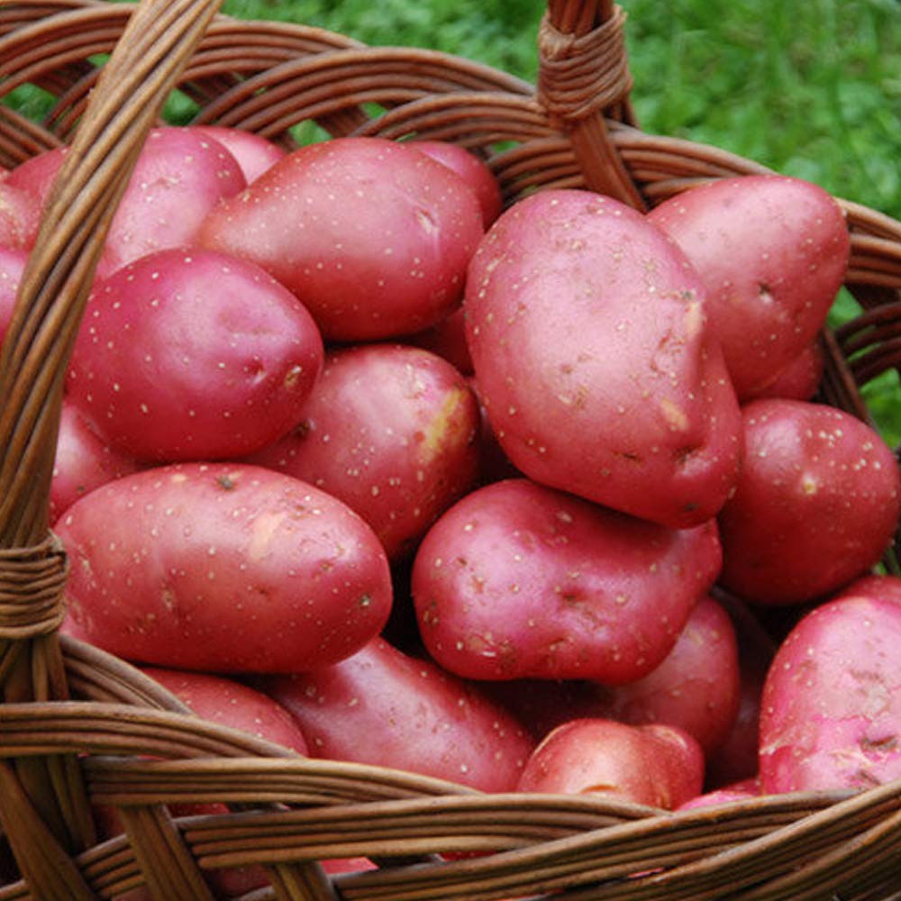 200