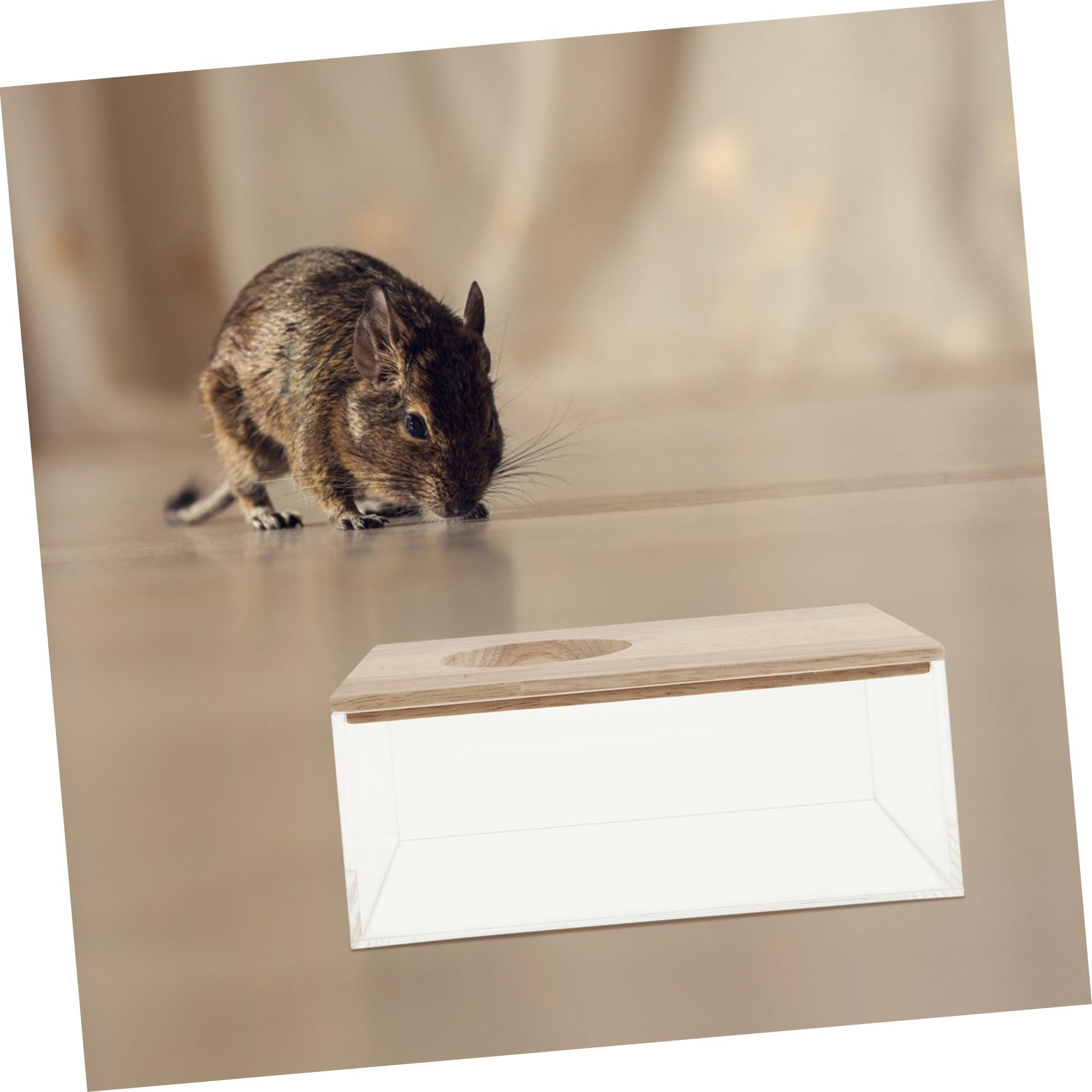 Gatuida Transparente Hamster Sandbadewanne mit Multifunktionalem Design als Toilette und Badewanne für Hamster Chinchilla Mäuse und Kleintiere Einfach zu Reinigen und Sicher für Zuhause
