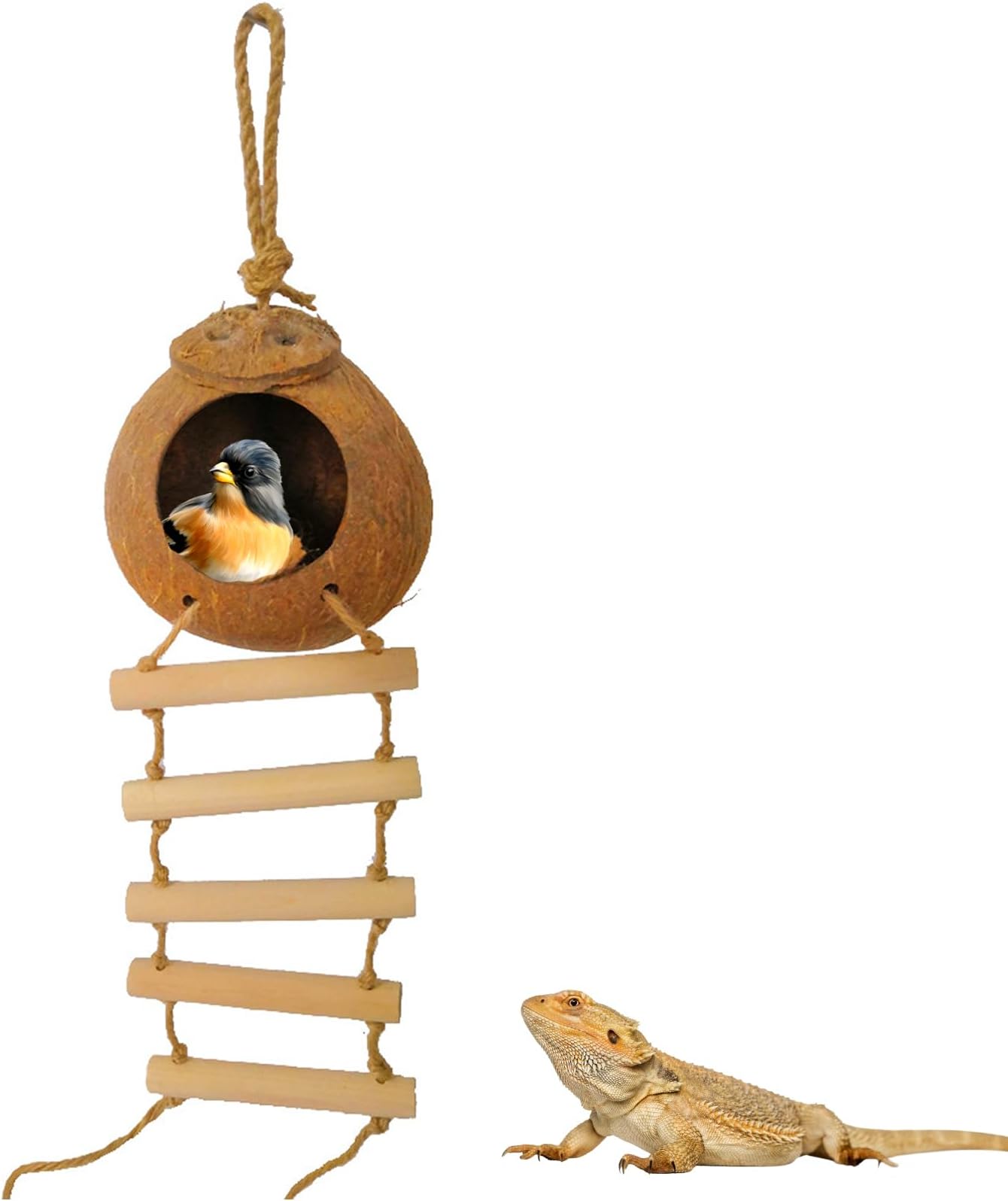 Gecko Coconut Husk Hut With Ladder - Natural Reptile Hideouts, Bird Nest Shell Hide for Small Animals