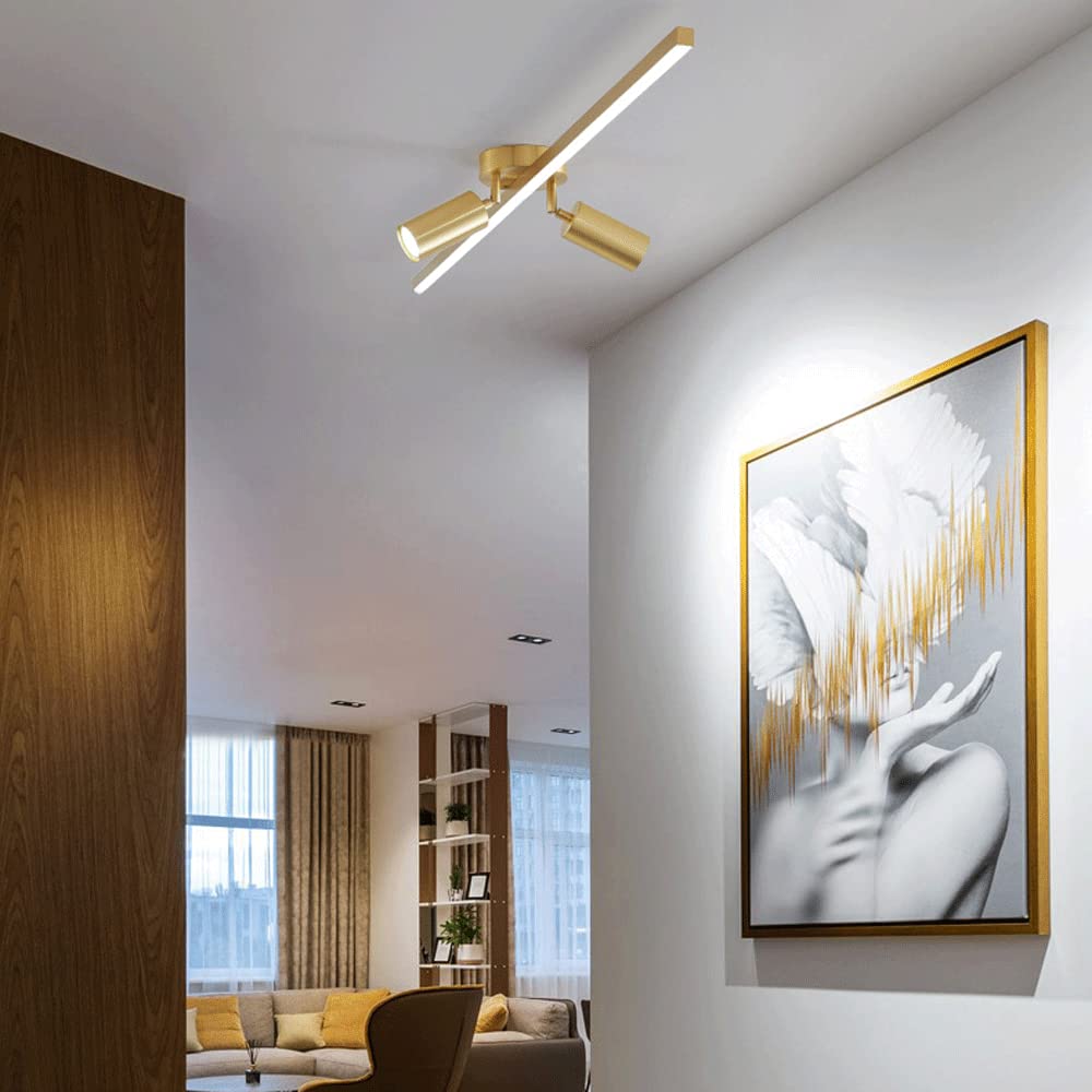 Faretti da soffitto Regolabili, Kit di Illuminazione a Binario Fisso a LED, faretti da soffitto a 2 Vie, faretti direzionali per Cucina, Galleria, corridoio, da