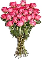Whole Foods Market Pink Double Dozen Roses - 24 Fresh Floral Bouquet for Special Occasions