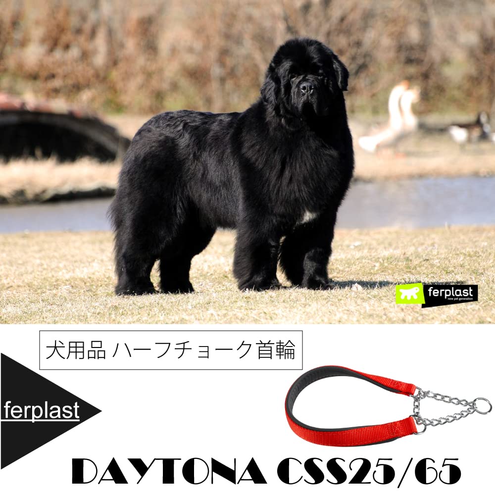 Ferplast Collare Cane Daytona, Collare per Cani Taglia Grande, Collare in Nylon 65 cm, Imbottito, Semistrozzo. Collare Addestramento. Rosso