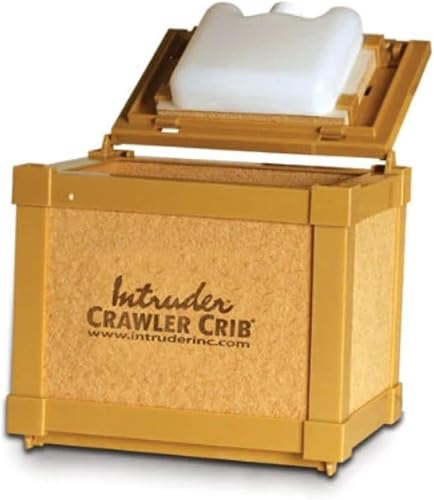 INTRUDER CrawlerCrib Nightcrawler - Caja de cebo para gusanos mantiene el cebo fresco empaquetado con ropa de cama Good N Lively Worm pequeño