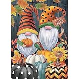 VIGEGU Thanksgiving Stamped Cross Stitch Kits - Pumpkin Cross Stitch Kits for Adults Beginners,Gnomes Full Range of Cross-Stitch Kits Needlecrafts Embroidery Kits Patterns for Home Wall Decor(11CT
