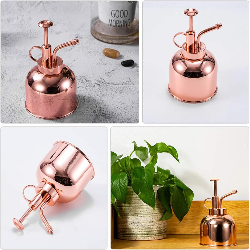 1pc Stainless Steel Watering Can Plant Spray Bottles Watering Cans with Pump Vintage Plant Spritzers with Pump Succulent