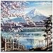 Yingxin34 Puzzles pour Adultes 1000 pièces Paysage sous Le Mont Fuji Jeux éducatifs Casse-tête de défi cérébral pour Enfants Adultes