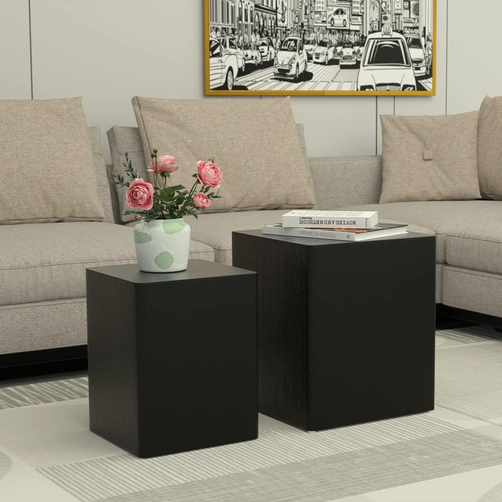 WILLIAMSPACE Nesting Table Set of 2, Black Nesting Coffee