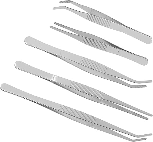 5pcs Stainless Steel Succulent Gardening Tweezers Lightweight Pointed and Curved Tips for DIY Moss Micro Landscape Planting Portable Gardening