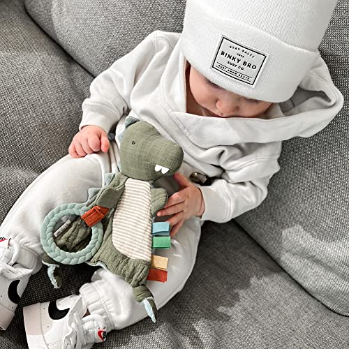 Itzy Ritzy - Bitzy Crinkle Sensory Toy With Teether; Features Ribbons, Crinkle Sound & Soft, Braided Teething Ring; Dinosaur #TOP3