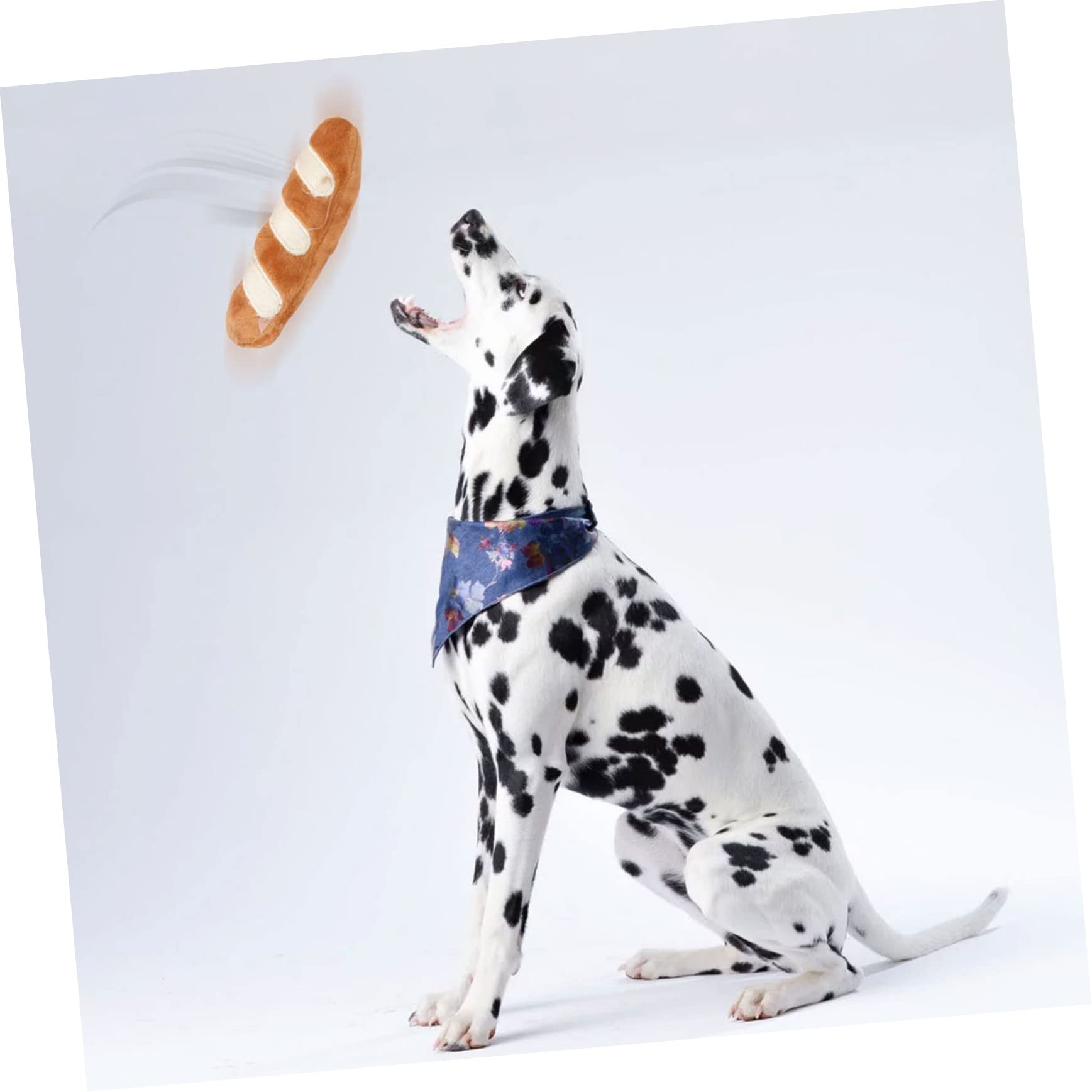 Sosoport 12stücke Teiliges Kauspielzeug Für Hunde Plüschspielzeug Mit Quietschfunktion Langlebig Und Lehrreich Interaktive e Für Hunde Und Katzen Für Gesunden Zahnwechsel Und