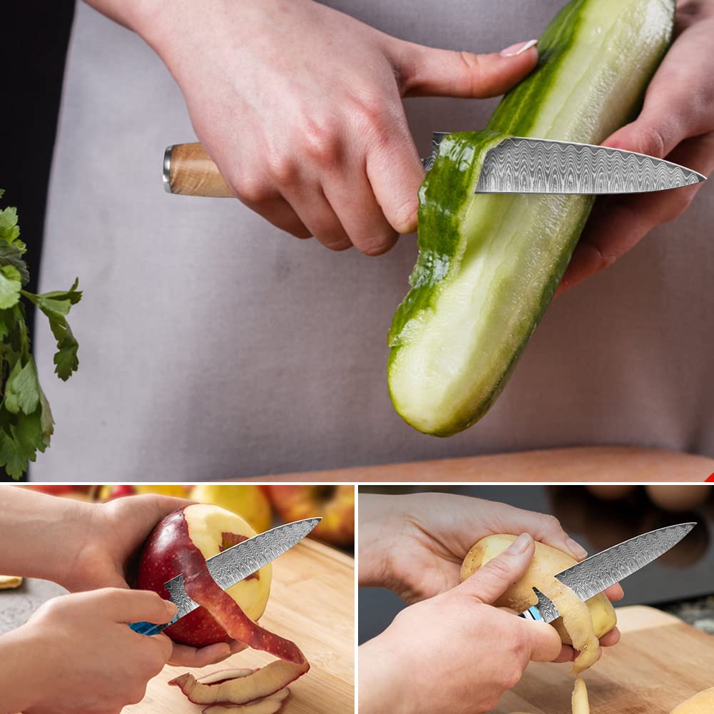 2 Pezzi Set Coltelli da Cucina Professionali Coltello Giapponese Damasco 67 Strati, Coltello Da Cucina Giapponese Professionale Coltello da Chef Coltelli Carne Per Chef E Appassionati