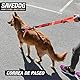 PONSA SAVEDOG. Sicherheitsgurt für Hunde. Der sicherste Gurt auf dem Markt. Traglast 1.000KG. Erfüllt die Anforderungen ISO 27955:2010. Ref.027172050102