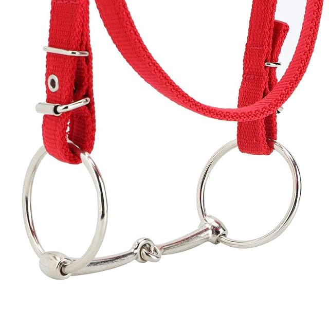 Foto 6 de 7 de Arnés de caballo ajustable, correas engrosadas con cojín suave, cabestro de control 5 mm para caballos