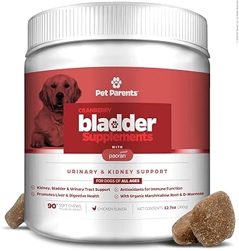 bladder control medication for dogs