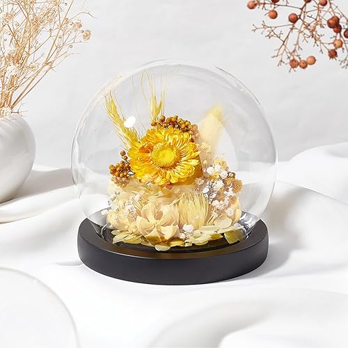 Miniatura 5 de PH PandaHall Cúpula Cloche de cristal de 4.9 x 4.5 pulgadas, vitrina de cristal con base, cúpula decorativa, cúpula de nieve para luces de hadas,