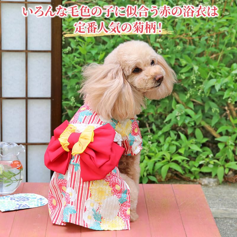 犬服 3S わんこの普段着レトロな小鳥ピンク